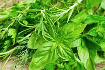今天，我們?nèi)绾斡H近野菜縮略圖