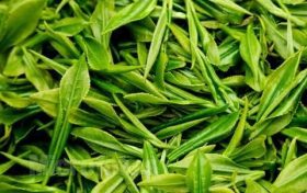 為什么說(shuō)喝春茶沒(méi)必要“洗茶”？縮略圖