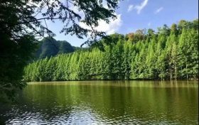 火爆出圈的漢中出游“頂流”，您最鐘意哪一處？縮略圖