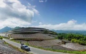 在南鄭，這條“紅色交通線”串起川陜鄉(xiāng)親美好新生活縮略圖