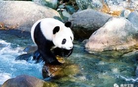 全國首家！開工！縮略圖
