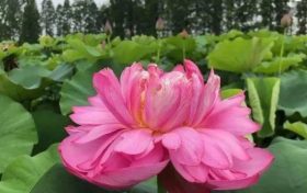 以夏天的名義，來漢中這里遇見不容錯過的風(fēng)景！縮略圖