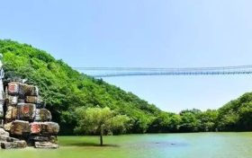 祝賀！漢中這幾個(gè)縣被省政府通報(bào)表彰縮略圖