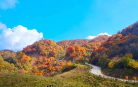看紅葉 · 過(guò)羌年，免費(fèi)游漢江源縮略圖