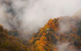 霜降 | 天上寒霜降，人間秋色深縮略圖
