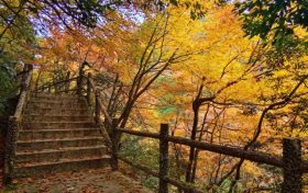 邂逅漢中這里，綿延山脈極致色彩等你來欣賞縮略圖