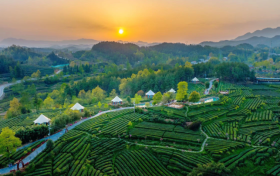 喜報！漢中市3縣獲第六批國家生態(tài)文明建設(shè)示范區(qū)和“兩山”基地命名！縮略圖