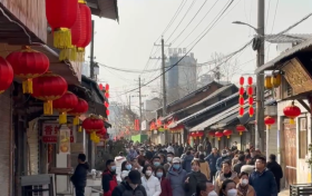 舞龍、舞獅、民族舞…漢臺家門口的年味正濃縮略圖