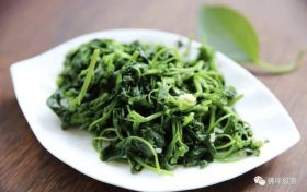 好吃又養(yǎng)生！春天這幾種野菜，每一種都有獨特的功效！縮略圖