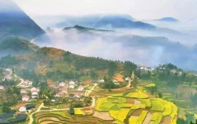 油菜花大片來(lái)襲，賞花路線已為你規(guī)劃好縮略圖