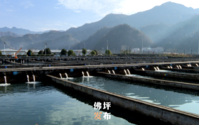 點(diǎn)贊！佛坪這一項(xiàng)目入國家農(nóng)業(yè)標(biāo)準(zhǔn)化示范區(qū)項(xiàng)目→縮略圖