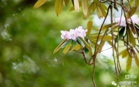 春游前，這份急救指南請先收好！縮略圖