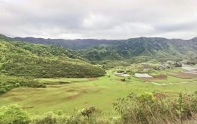夏天來了，起居、飲食、運動有講究縮略圖