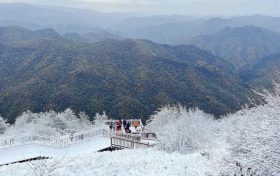 經(jīng)常感冒是怎么回事？該如何預(yù)防?縮略圖