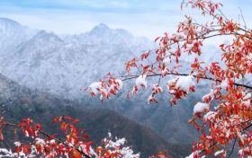 天冷不穿秋褲會凍出關(guān)節(jié)炎？醫(yī)生：關(guān)節(jié)炎不是“凍”出來的但秋褲該穿還得穿縮略圖