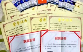優(yōu)秀！城固縣兩名學(xué)生喜獲世界機器人大賽國賽二等獎 →縮略圖