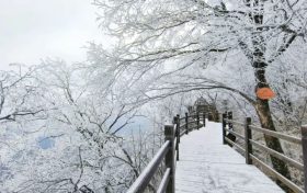 龍頭山今日又下雪啦，每一幀都是“限定浪漫”！縮略圖