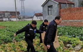 城南派出所成功救助一級保護動物朱鹮縮略圖