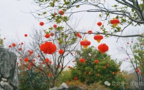 告別“節(jié)后綜合征” “元?dú)鉂M滿”開(kāi)工這樣做縮略圖