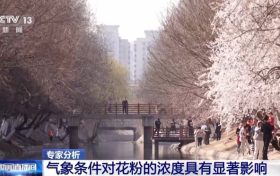 氣象條件對(duì)花粉濃度有哪些影響？花粉季要注意什么？專家解答縮略圖