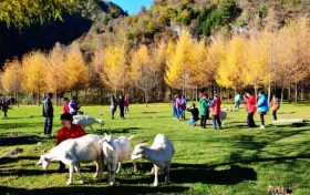 留壩入選“五一”最美鄉(xiāng)村旅游目的地！縮略圖