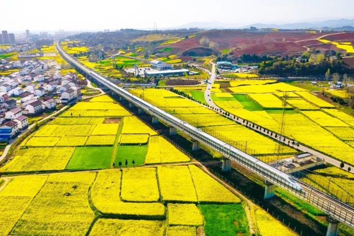 坐上高鐵去漢中,共赴一場(chǎng)浪漫之旅!插圖 坐上高鐵去漢中,共赴一場(chǎng)浪漫之旅!插圖