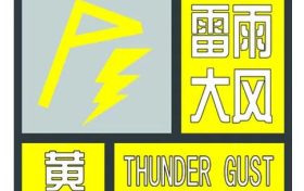 雷雨大風黃色預(yù)警縮略圖