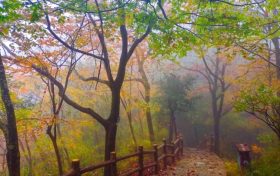 7日6時20分立冬：昨夜清霜冷絮裯，紛紛紅葉滿階頭縮略圖