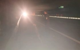 有“警”無險！老人迷路誤入高速，交警及時救助縮略圖