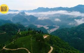 鎮(zhèn)巴楮溪源：山川之美創(chuàng)4A，茶旅融合新畫(huà)卷縮略圖
