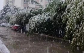 明顯降溫！陜西新一波雨雪即將到來縮略圖