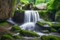 尋夢(mèng)油菜花海，探秘漢江之源：三天兩晚奇遇之旅縮略圖