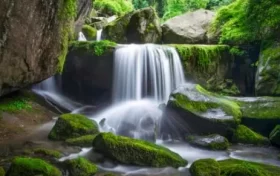 尋夢油菜花海，探秘漢江之源：三天兩晚奇遇之旅縮略圖