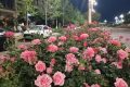 陜西發(fā)布消費提示！警惕“零團費”等不合理低價產(chǎn)品縮略圖