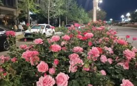 陜西發(fā)布消費(fèi)提示！警惕“零團(tuán)費(fèi)”等不合理低價產(chǎn)品縮略圖