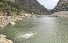 縱身激流顯擔(dān)當(dāng)！略陽(yáng)公安民警以身為舟托起生命希望縮略圖