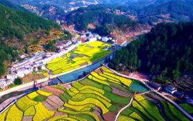 鎮(zhèn)巴簡池鎮(zhèn)李塘村：春日河畔花海，宛如水墨仙境縮略圖