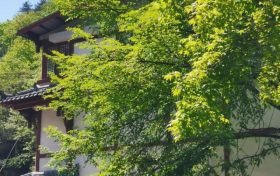 簡(jiǎn)約消費(fèi) 拒絕天價(jià)粽子縮略圖