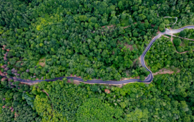 三伏天開(kāi)啟！我要去草川子縮略圖