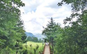 全省推介！漢中多地上榜→縮略圖